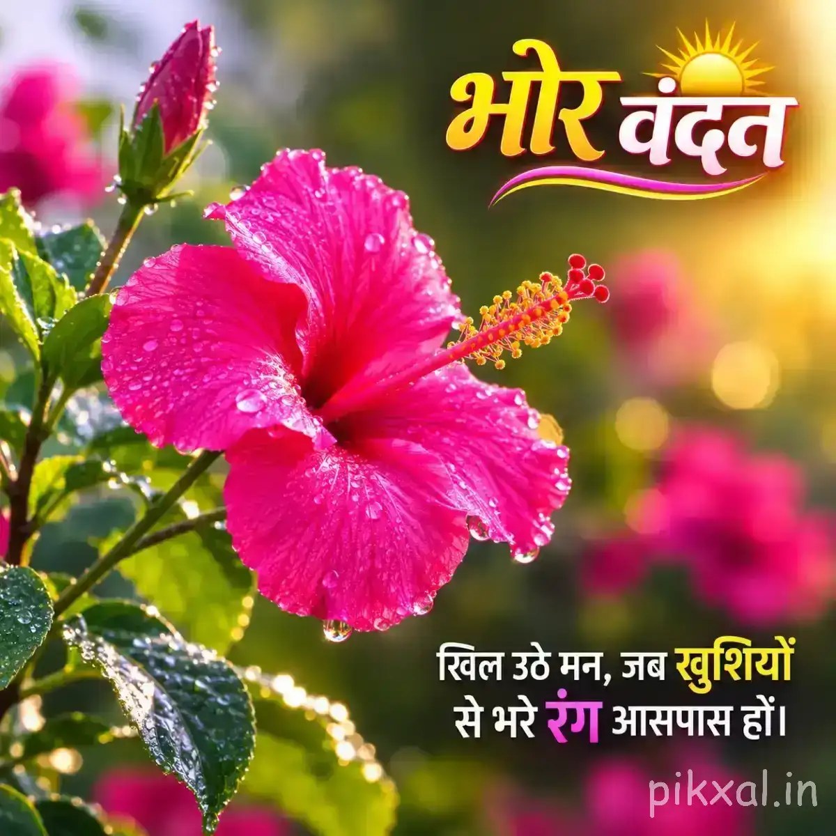 Bright pink flower with wide-open petals, long stamens, and green leaves against a blurred garden background with a Hindi morning wish