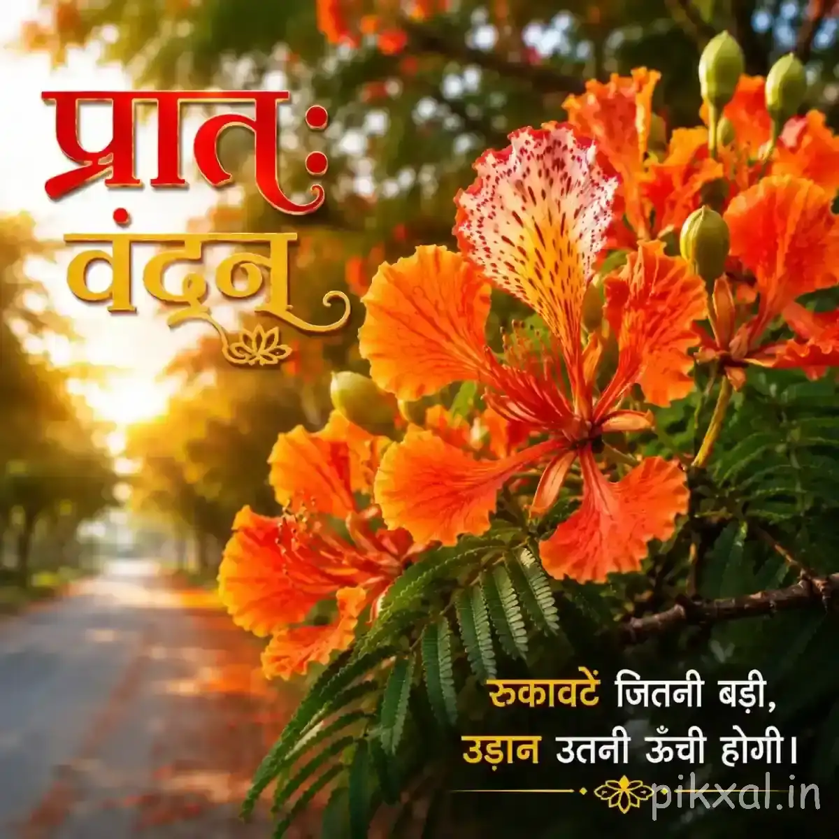 Several orange flowers with dark centers arranged in a dense cluster against softly blurred greenery and a Hindi morning greeting