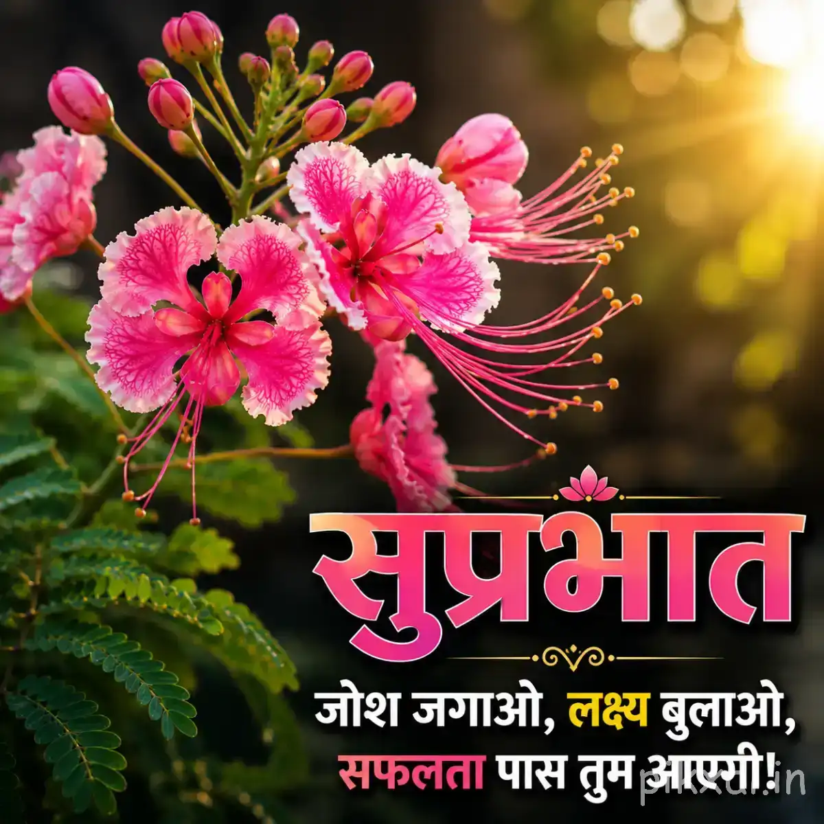 Pink flowers with long projecting stamens and unopened buds on leafy branches against warm sunlight with a Hindi Good Morning wish