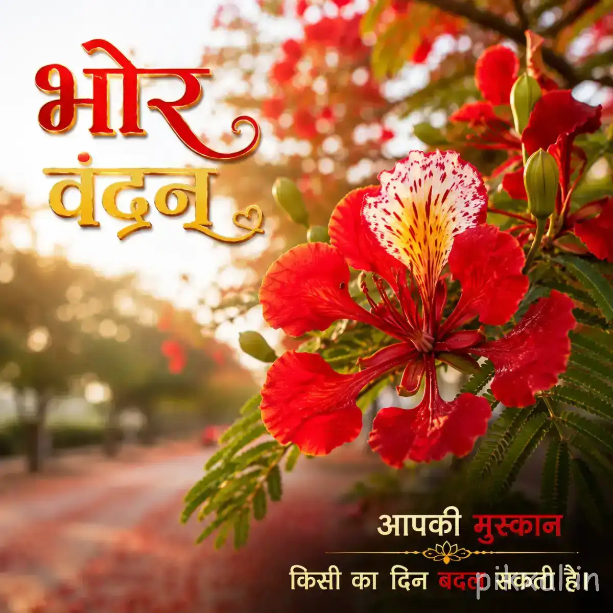 Red flowers with long stamens and green foliage along a sunlit pathway with a Hindi morning wish