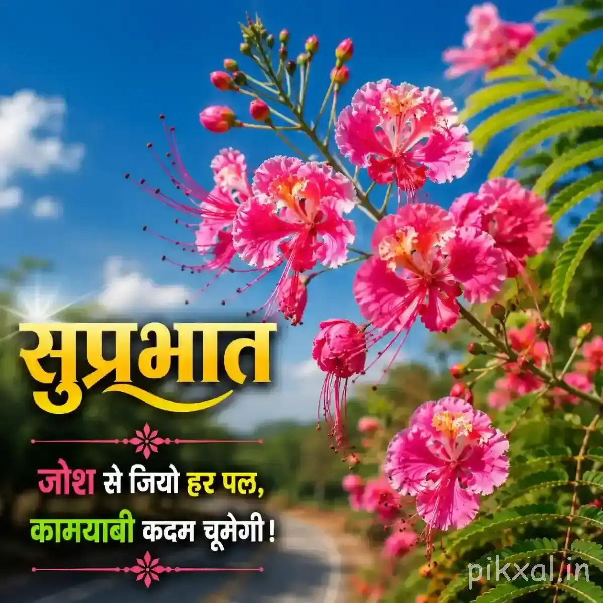 Cluster of pink flowers with long stamens and unopened buds against a blue sky with a Hindi Good Morning wish