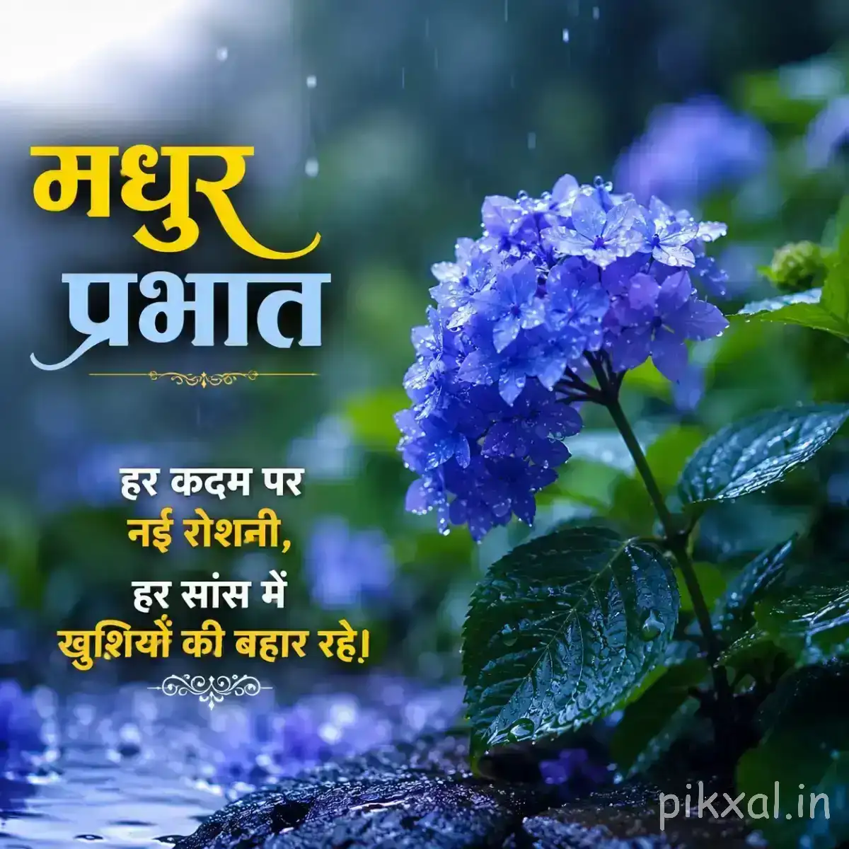 Cluster of blue-purple flowers with rounded petals and glossy green leaves beside water with a Hindi morning wish