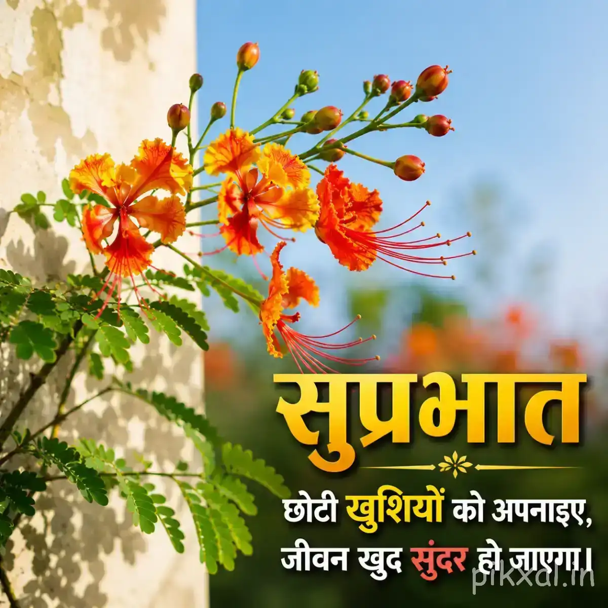 Orange-red flowers with long stamens and unopened buds on leafy branches against a blue sky with a Hindi Good Morning wish