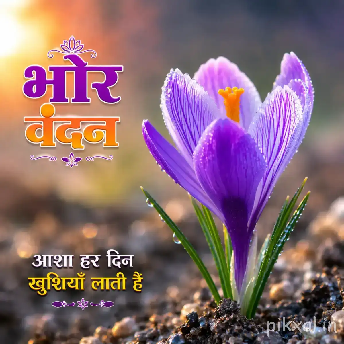 Purple upright flowers with slender green leaves against a softly blurred golden background and a Hindi morning wish