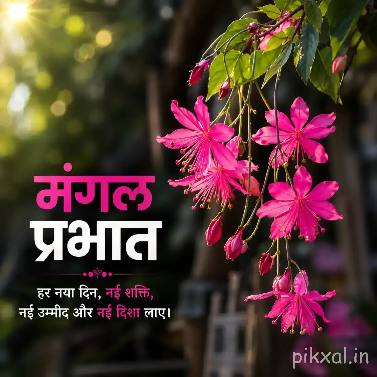 Cluster of small pink flowers hanging from leafy branches against a dark green background with a Hindi morning wish