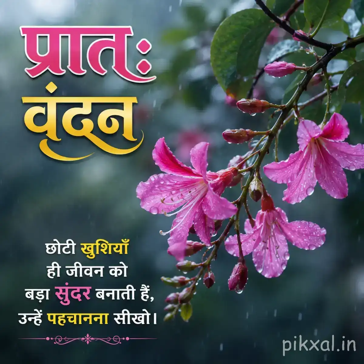 Several pink hanging flowers on leafy branches against a dark green background with a Hindi morning wish