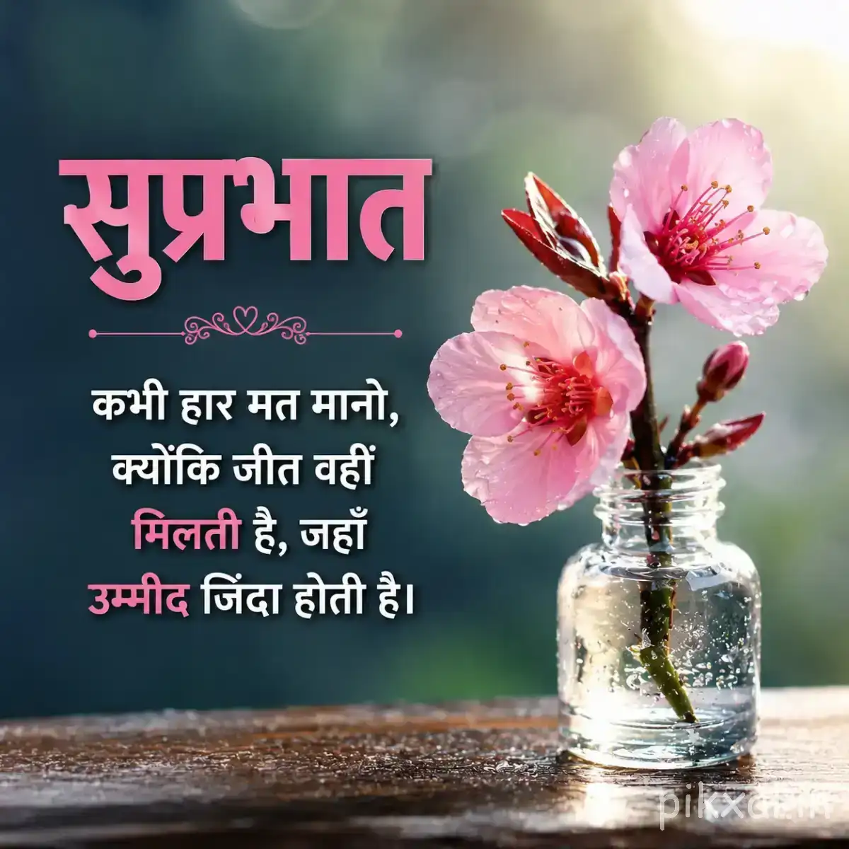 Two pale pink flowers on a slender branch in a glass bottle against a blue background with a Hindi morning wish
