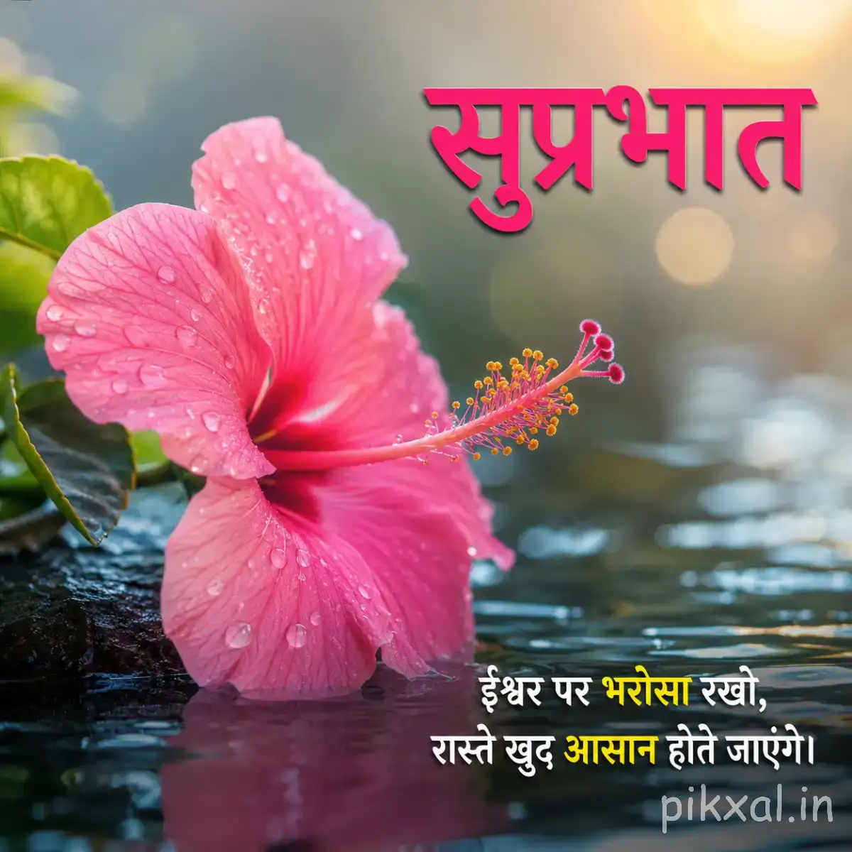 Single pink flower with broad petals standing in calm water against a softly blurred background with a Hindi morning greeting