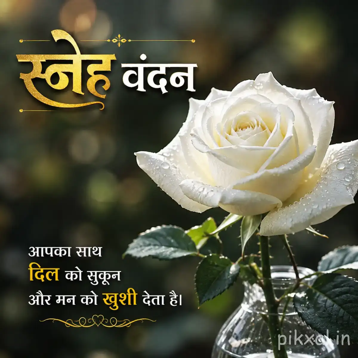 Single white layered flower with green leaves against a dark blurred background and a Hindi morning greeting