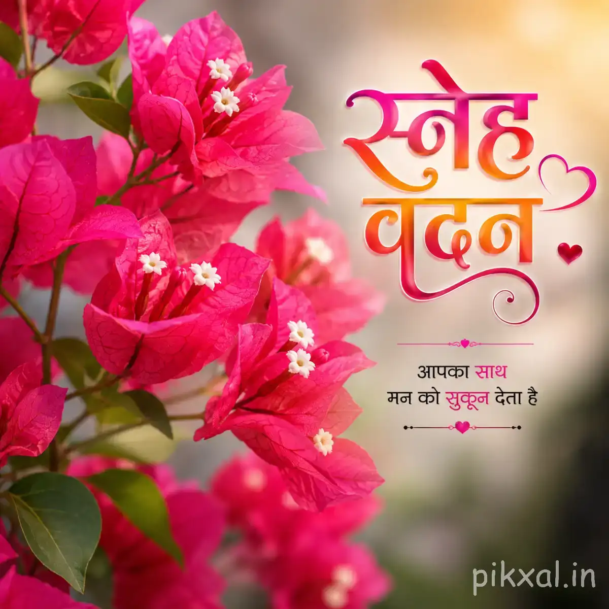 Cluster of bright pink flowers with small white centers and green leaves against a softly blurred background with a Hindi morning wish