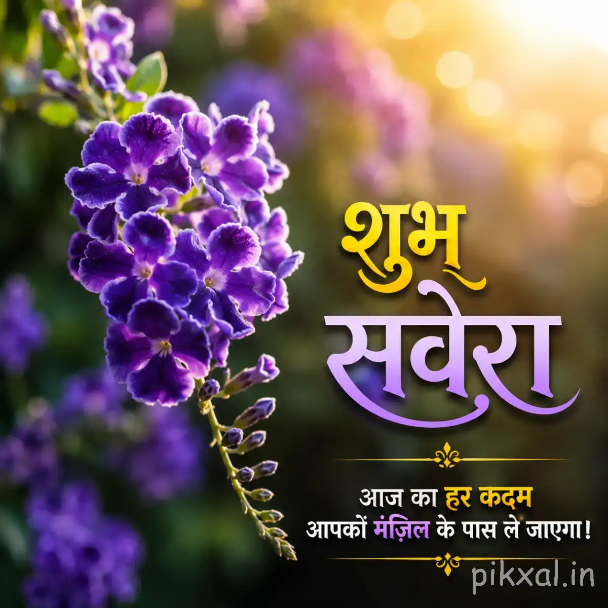 Cluster of small purple flowers on a leafy stem against warm golden light with a Hindi morning greeting