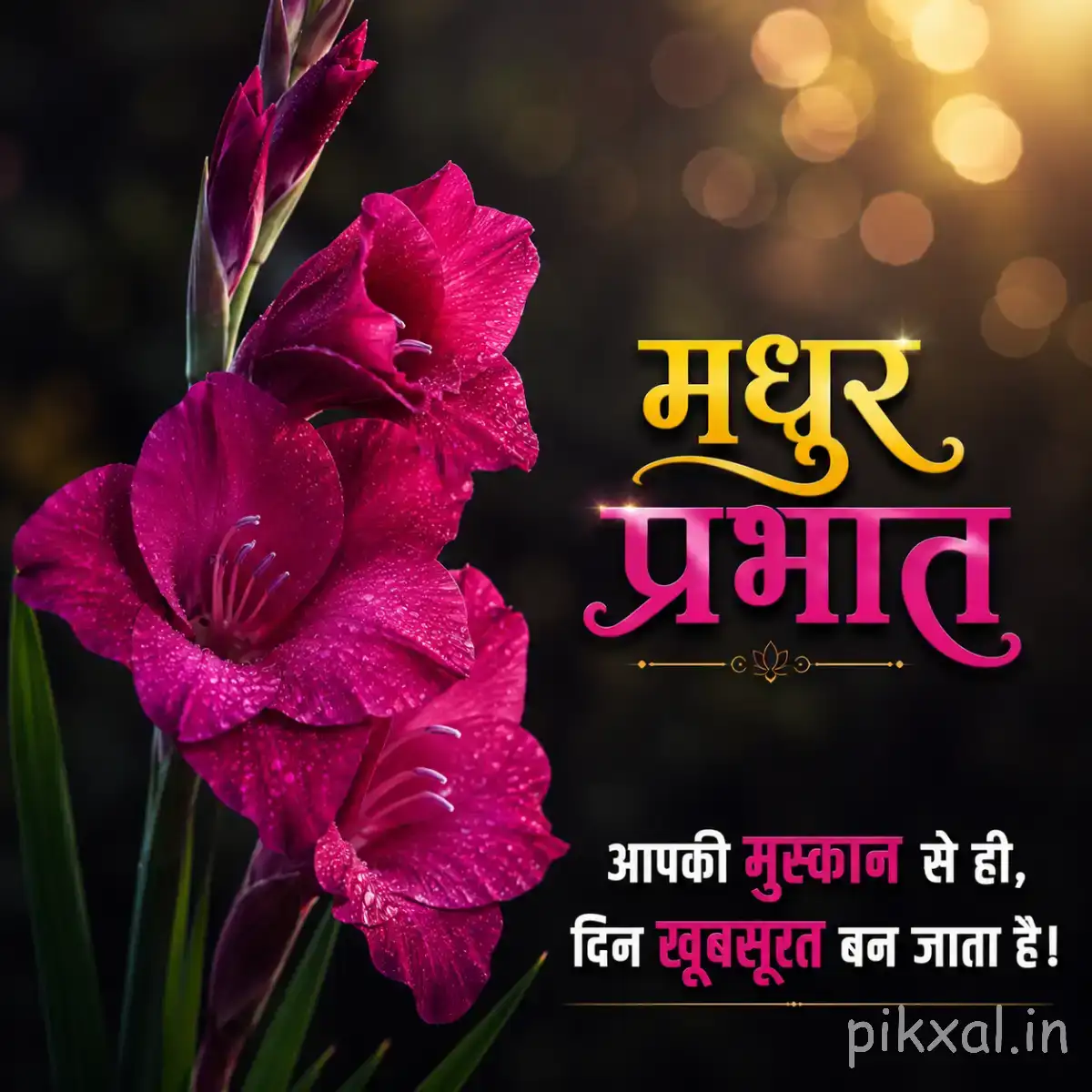 Single deep magenta flower with layered petals and green leaves against warm blurred light with a Hindi morning wish