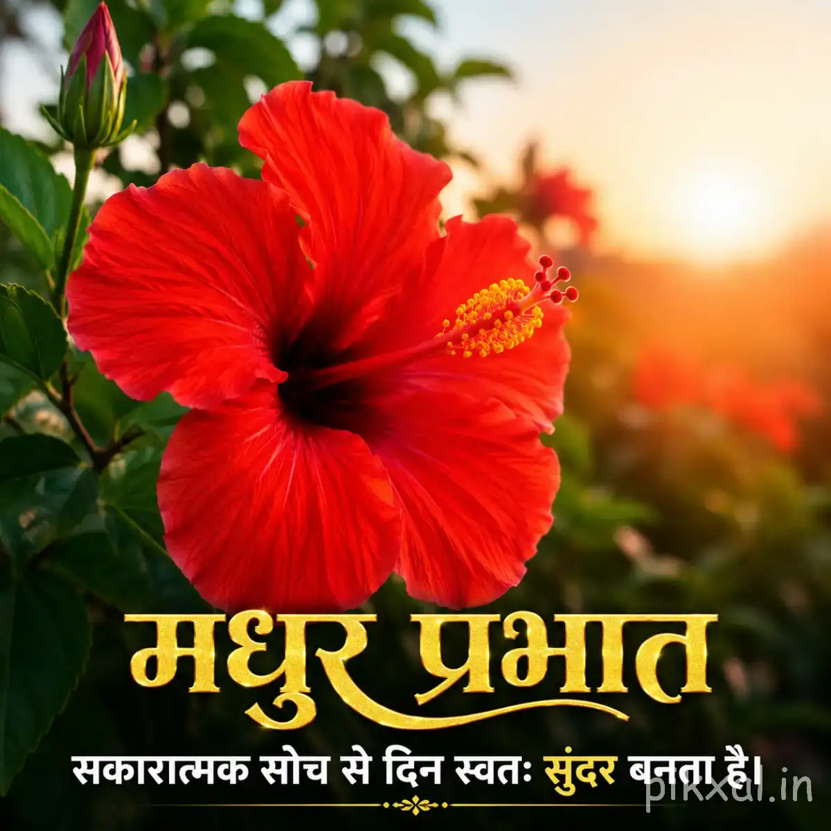 Single bright red flower with broad overlapping petals and a dark center against a softly blurred garden background with a Hindi morning greeting