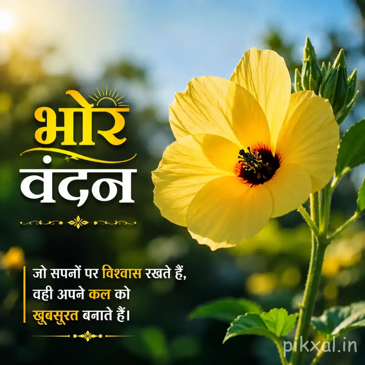 Single yellow flower with a dark center and broad petals among green leaves against a softly blurred garden background