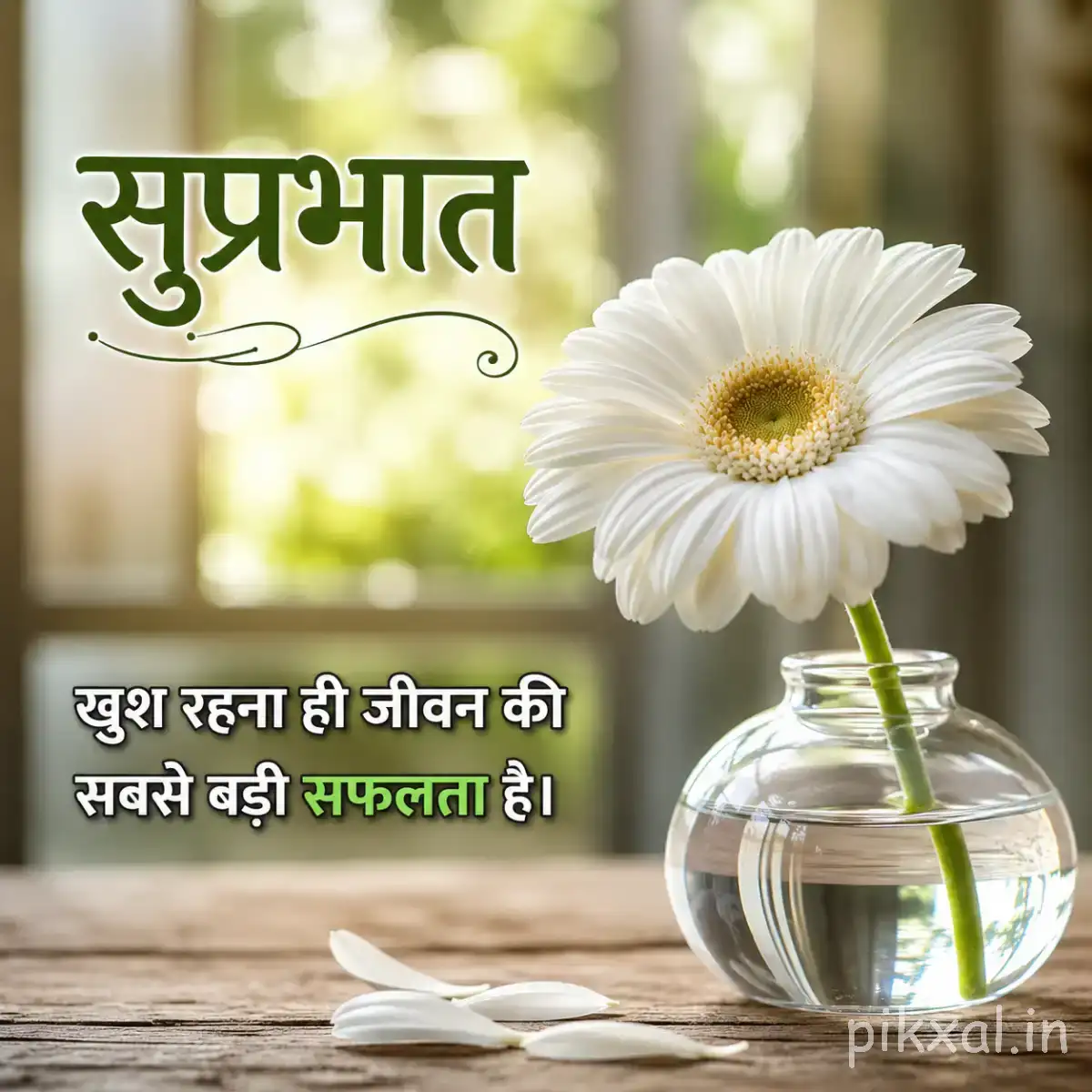 Single white flower with many narrow petals and a yellow center beside a glass bottle against soft greenery