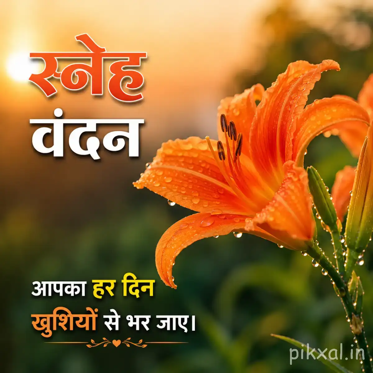 Orange flower with long curved petals and green leaves against warm sunlight with a Hindi morning wish