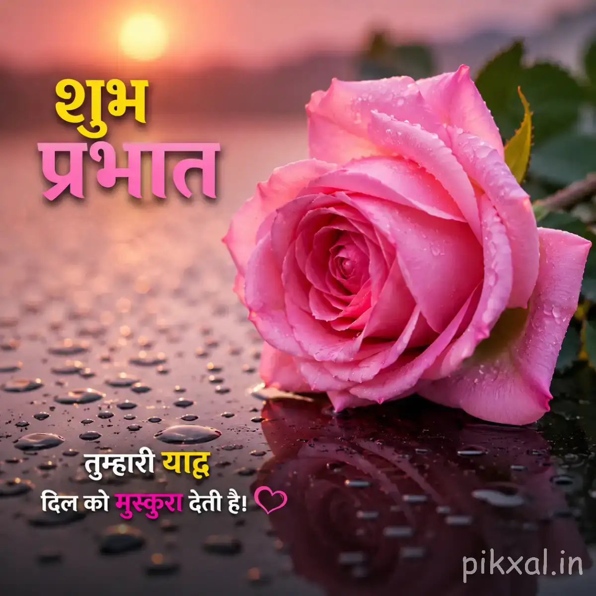 Pink layered flower beside calm water with its reflection visible against a softly blurred background