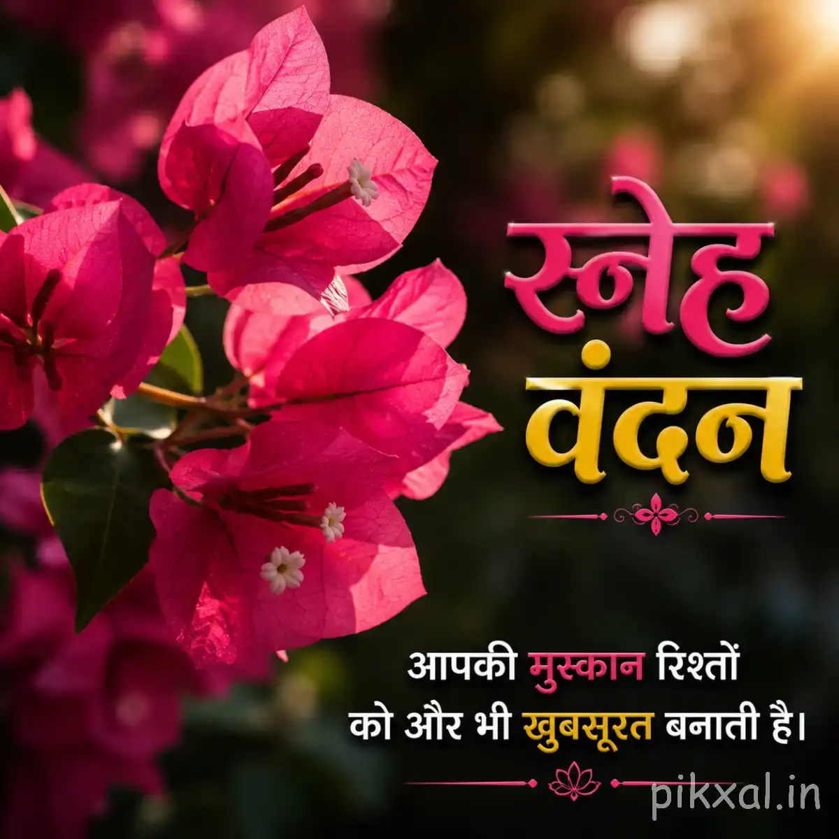 Cluster of bright pink flowers with layered petals and dark centers against a dark blurred background with a Hindi morning wish