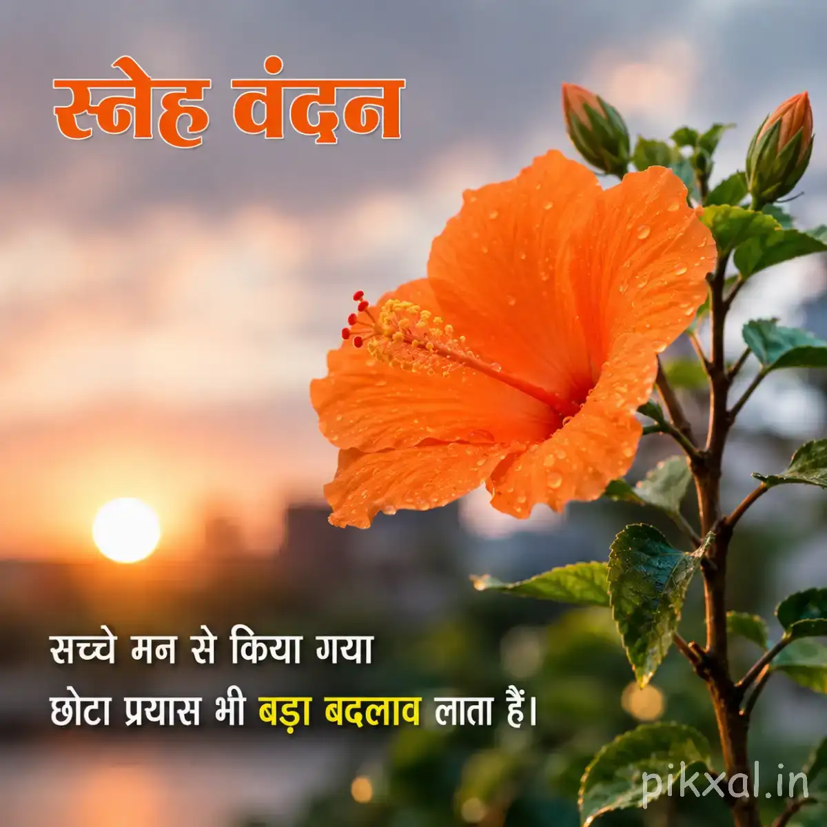 Single orange flower with broad petals and green leaves against warm sunrise light with a Hindi morning wish