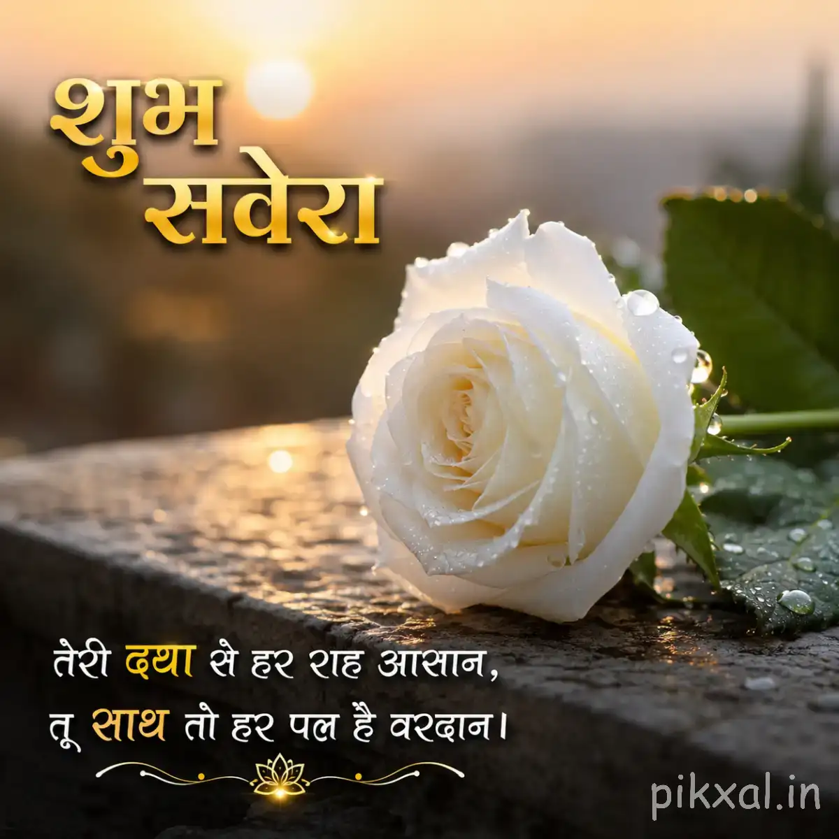 Single white layered flower resting on dark stones beside green leaves with a Hindi morning greeting
