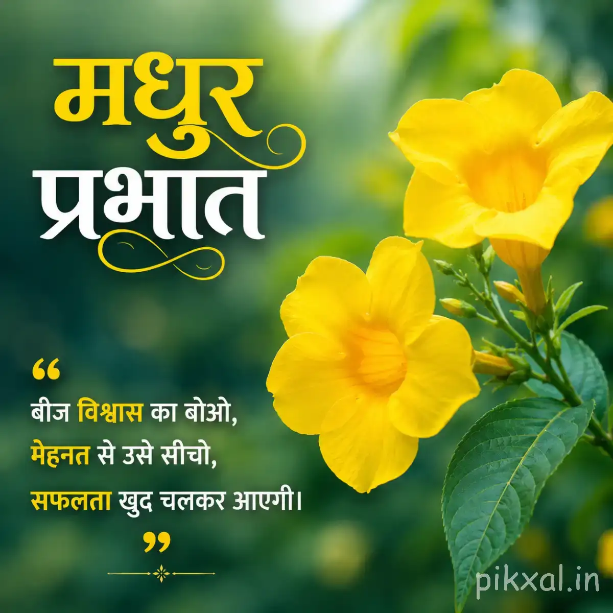 Several yellow flowers with rounded petals and green leaves against a softly blurred garden background with a Hindi morning wish