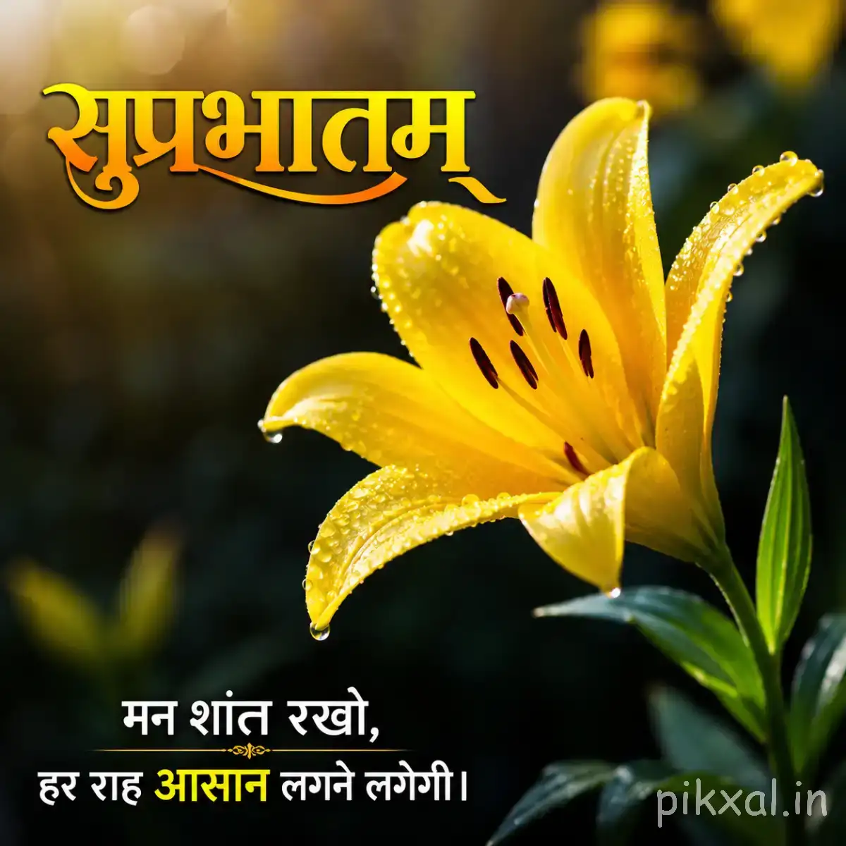 Yellow flower with long pointed petals and dark markings among green leaves against a dark blurred background