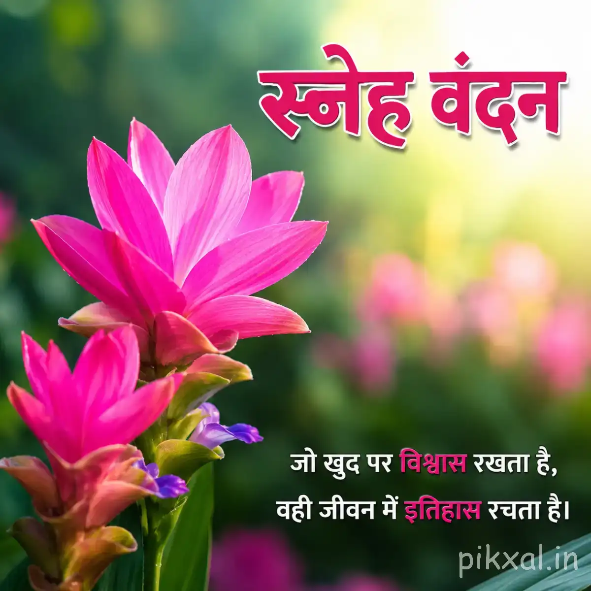 Cluster of bright pink flowers with pointed petals and green leaves against softly blurred greenery with a Hindi morning wish