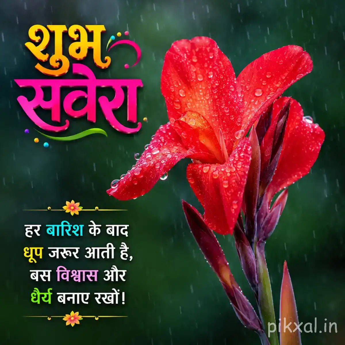 Large red flower with pointed petals and unopened buds among green leaves with a Hindi Good Morning wish