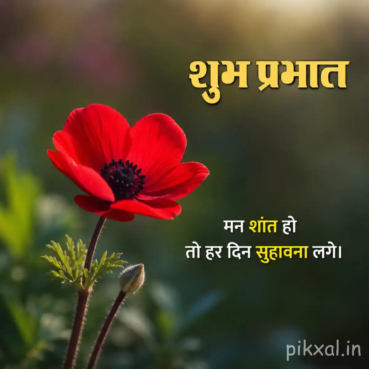 Single red flower with broad petals and a dark center among green stems with a Hindi Good Morning wish
