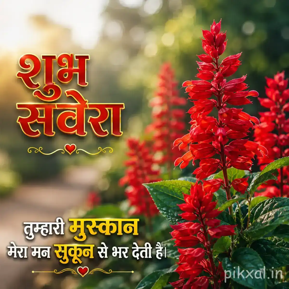 Several red flower spikes rising from green foliage against a softly blurred garden background with a Hindi morning wish