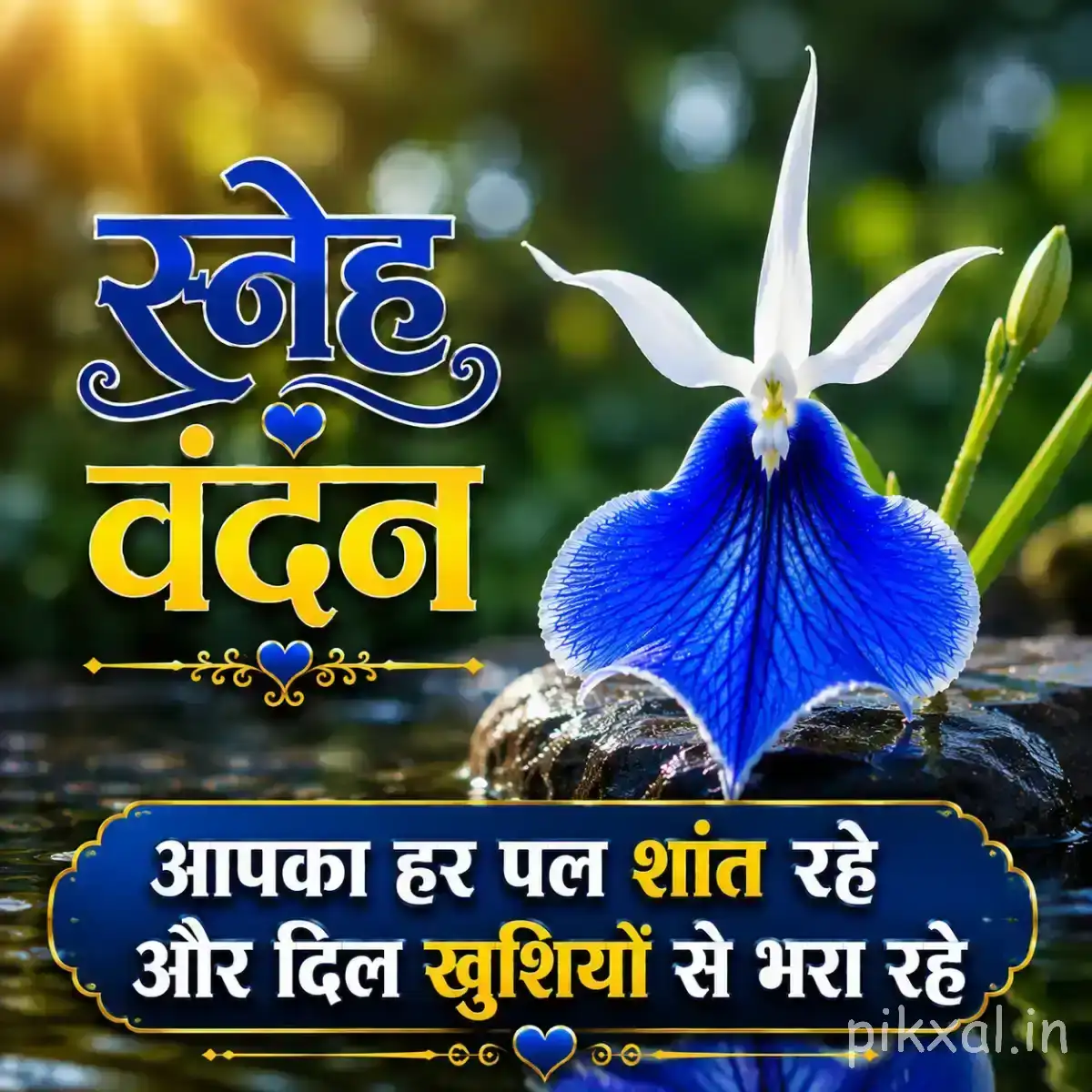 Blue and white flower with a curved white upper petal and green leaves against a dark background with a Hindi morning wish