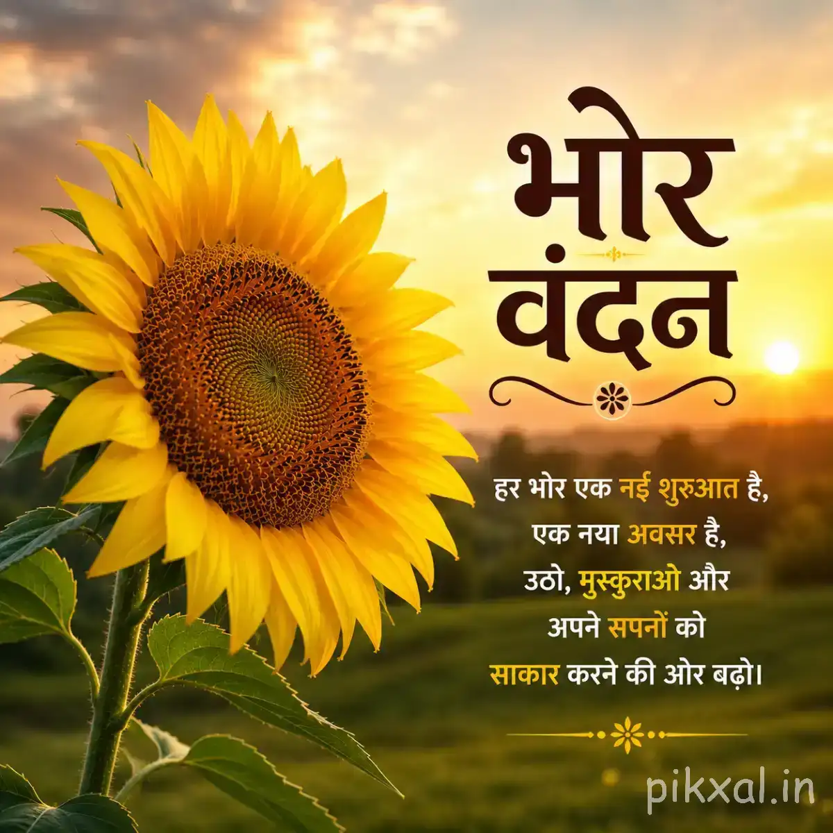 Large yellow flower with a dark center beside green leaves on a wooden surface with a Hindi morning wish