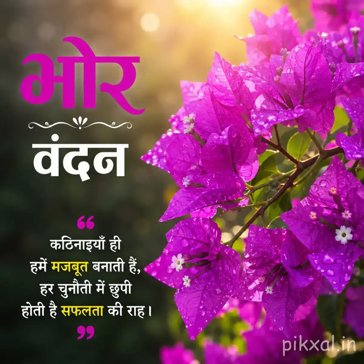 Several purple flowers with green foliage against a softly blurred background and Hindi morning wish