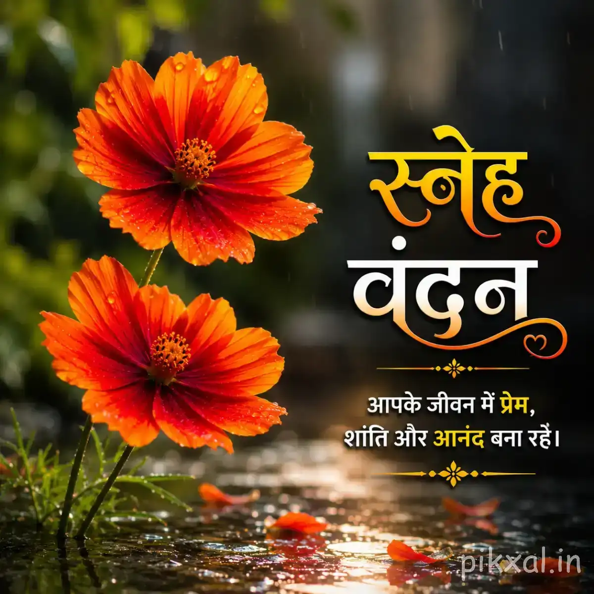Two orange flowers with dark centers beside rippling water and a Hindi morning greeting