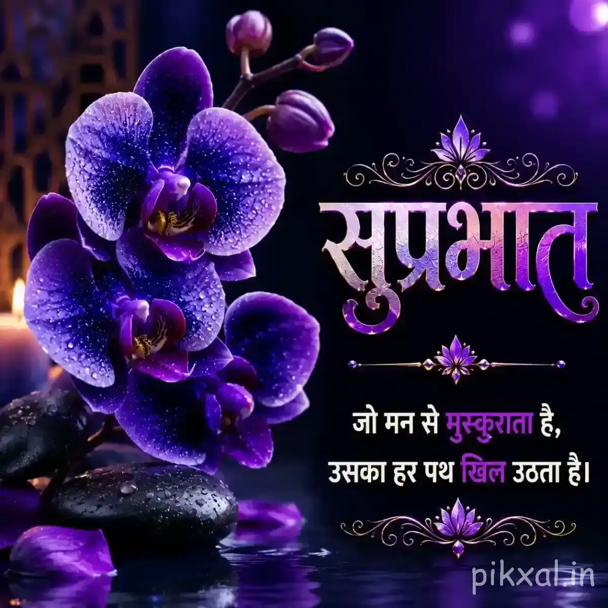 Cluster of purple flowers with rounded petals and green foliage, accompanied by a Hindi Good Morning wish