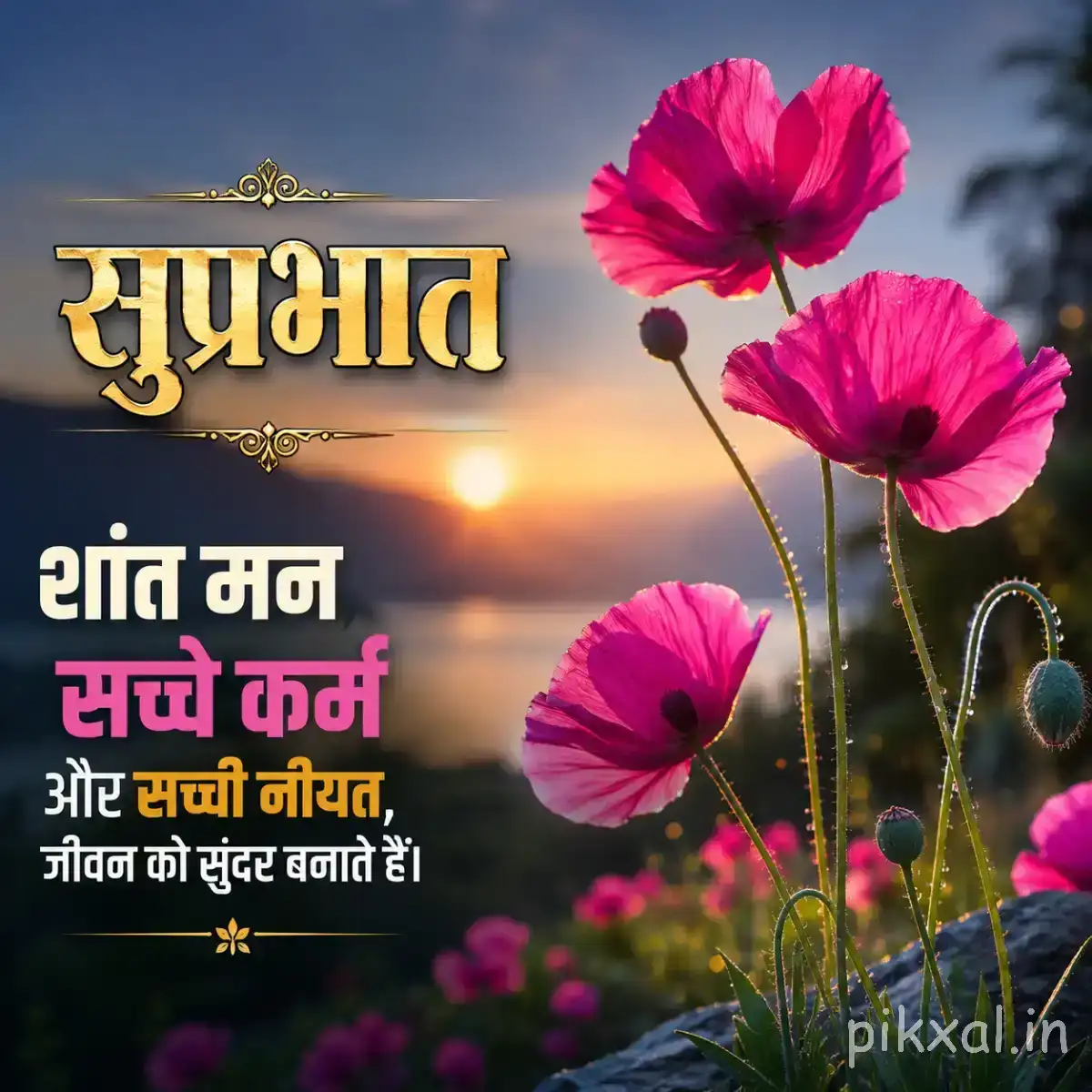 Bright pink flowers on tall slender stems against a glowing sunset landscape with a Hindi Good Morning wish