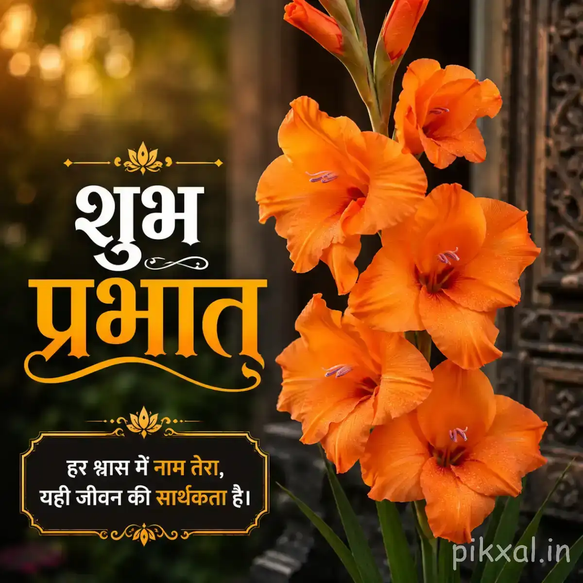 Several orange flowers on leafy stems against a softly blurred garden background with a Hindi Good Morning wish