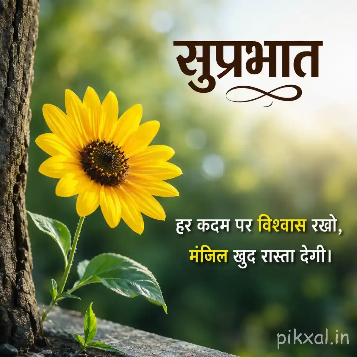 Single yellow flower beside a tree trunk with green foliage and a Hindi Good Morning greeting