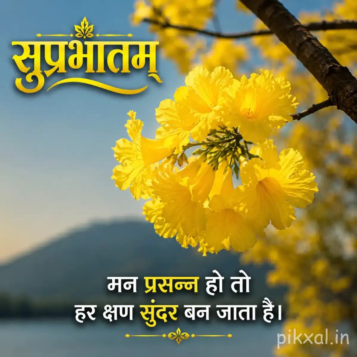 Several yellow flowers clustered along a branch against a clear sky with a Hindi Good Morning wish
