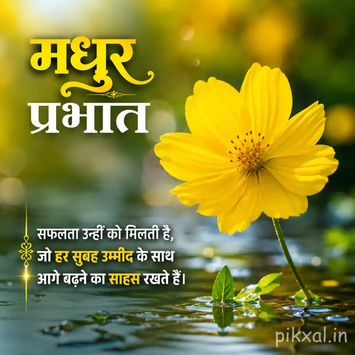 Single yellow flower beside calm water with green foliage and a Hindi Good Morning wish
