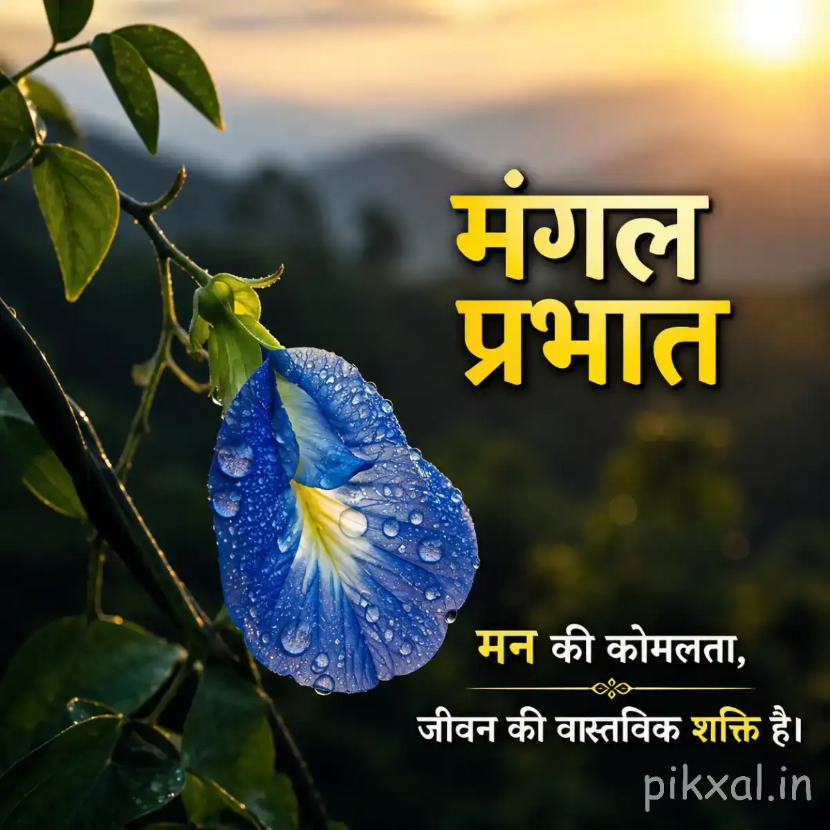 Blue flower with visible water droplets hanging among green leaves with a Hindi morning message