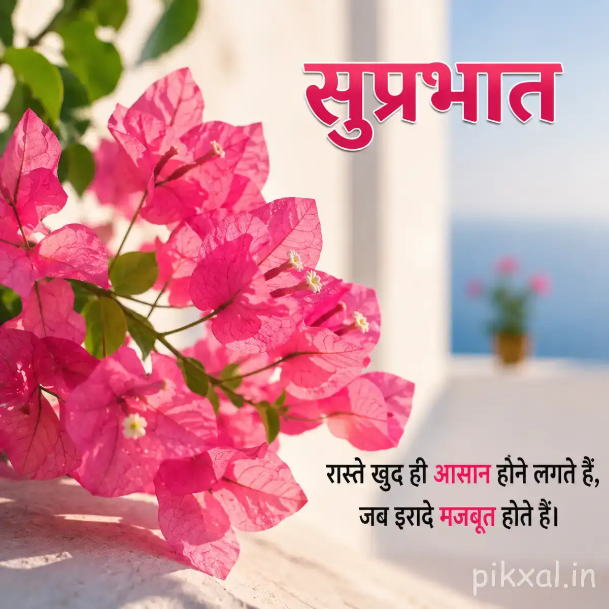 Cluster of bright pink flowers on leafy branches against a softly lit indoor background with a Hindi morning greeting