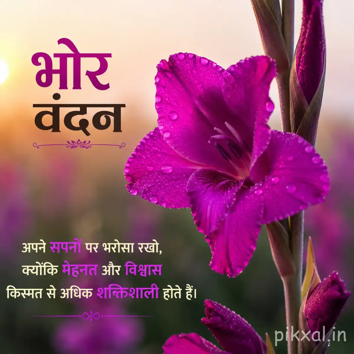 Single vivid purple flower with broad overlapping petals and green leaves against a softly blurred background