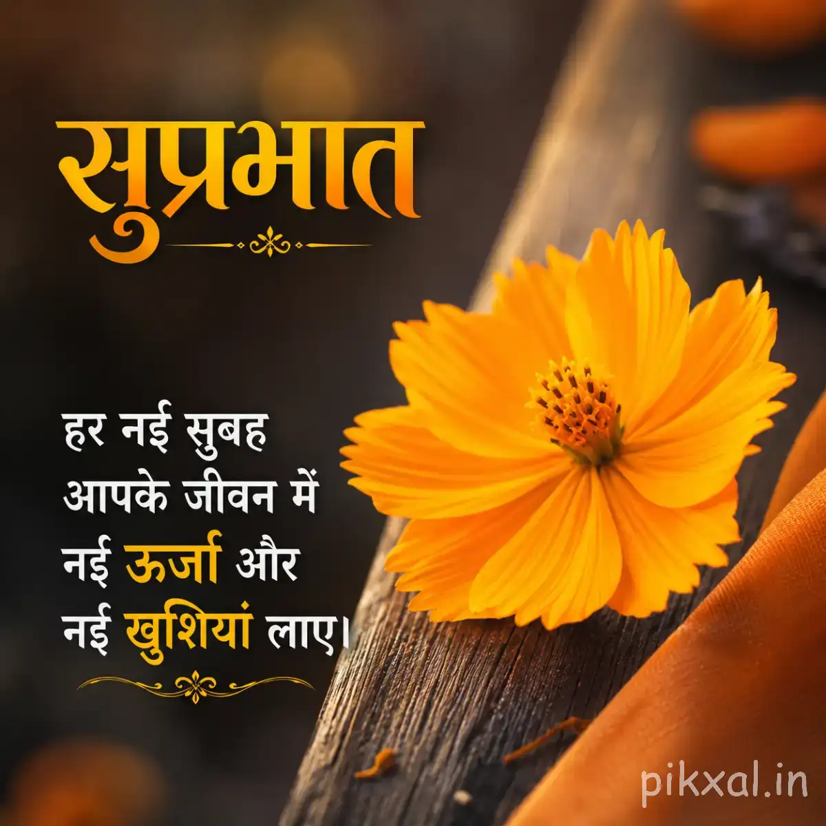 Single orange flower with layered petals resting beside a wooden surface with a Hindi Good Morning greeting