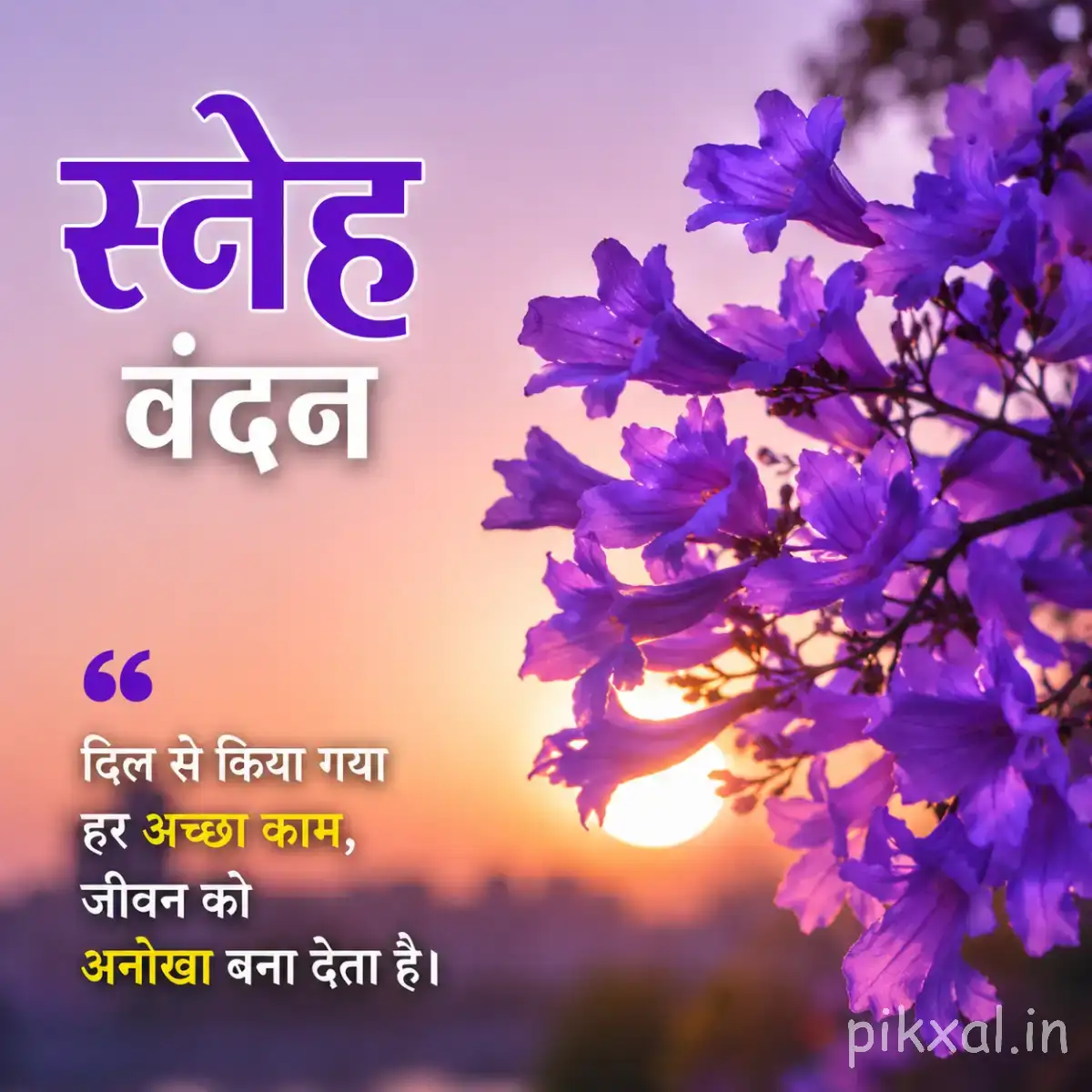 Cluster of small purple flowers on branching stems against a warm sunset background with a Hindi morning message
