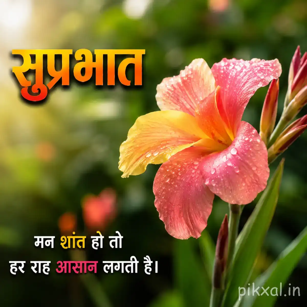 Peach and pink flower with layered petals and a warm yellow center against a softly blurred background