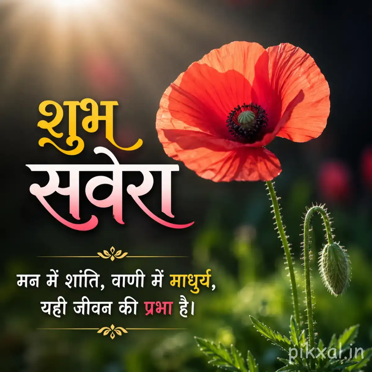 Red-orange flower with a dark center and unopened buds against soft greenery with a Hindi Good Morning wish