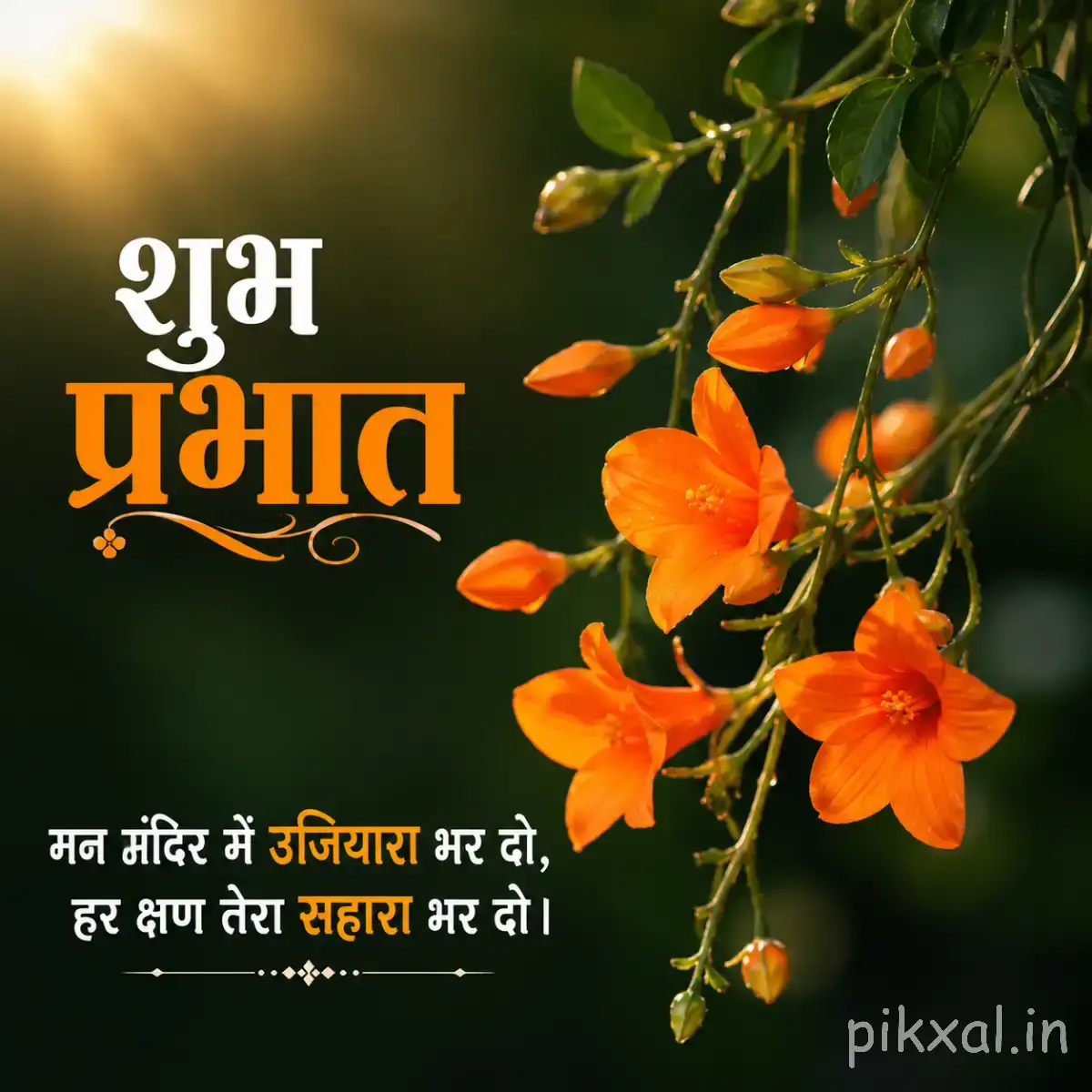 Several small orange flowers on leafy branches against a softly blurred garden background with a Hindi Good Morning wish
