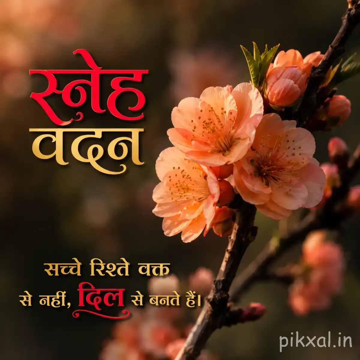 Peach flowers clustered along a dark flowering branch with warm light and a Hindi morning message