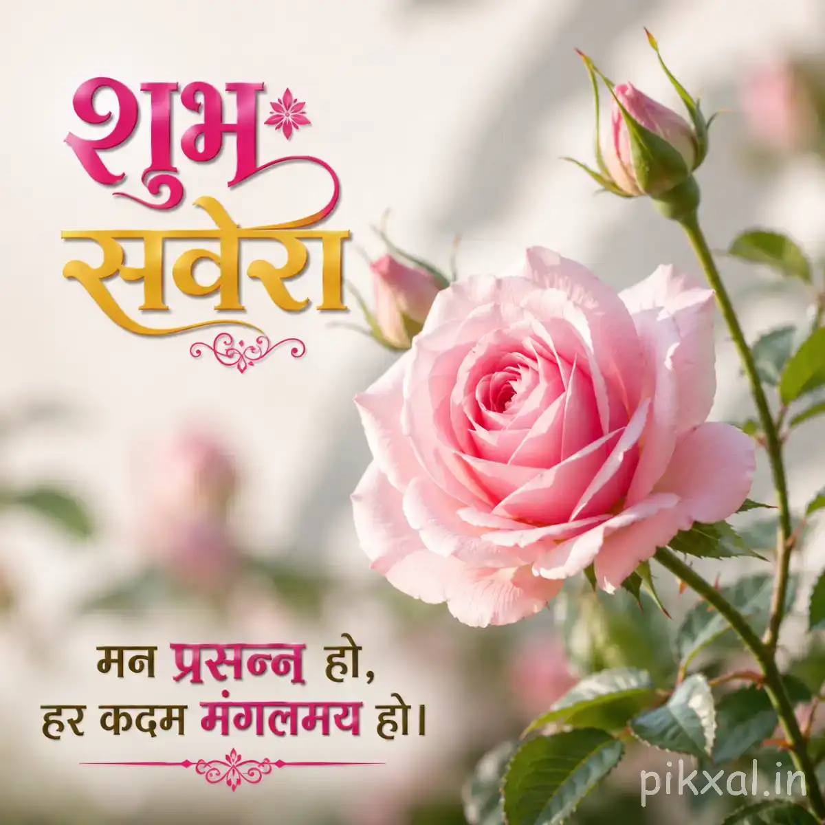 Soft pink layered flower with green leaves against a pale blurred background with a Hindi Good Morning wish
